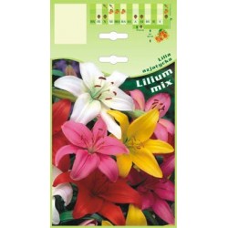 Lilium asiatic Mix FP509