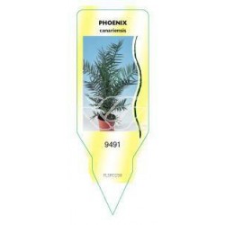 Phoenix FLSP0258