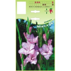 Gladiolus violet FP480