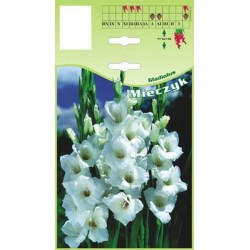 Gladiolus white FP493