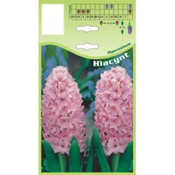 Hyacinthus różowy FP007