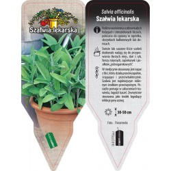 Salvia officinalis PPGLLC010
