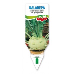 Brassica oleracea var....