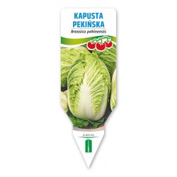 Brassica pekinensis GLWEG010