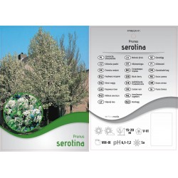 Prunus serotina FPMEGA141
