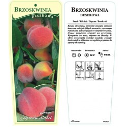 Prunus persica FPKN023