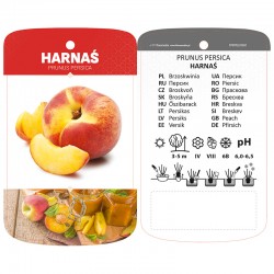 Prunus persica 'Harnaś'...
