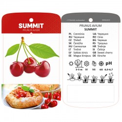 Prunus avium 'Summit'...