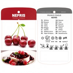 Prunus cerasus 'Nefris'...